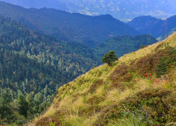 Paesaggio Montano Nella Giornata Sole Pokhara Nepal — Foto Stock