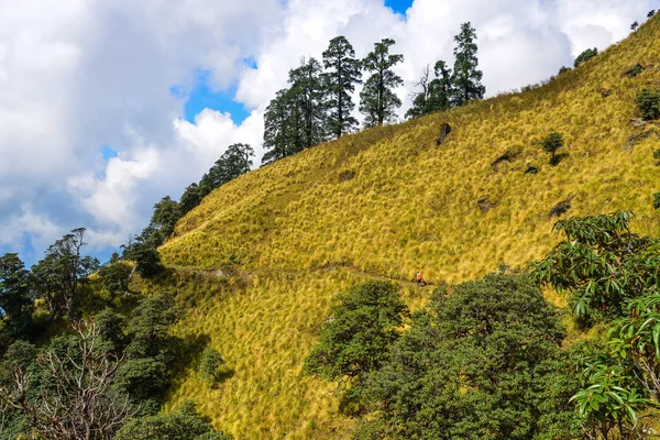 Paysage Montagne Avec Sentier Randonnée Annapurna Népal — Photo
