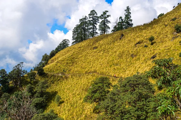 Ορεινό Τοπίο Annapurna Μονοπάτι Trekking Στο Νεπάλ — Φωτογραφία Αρχείου