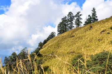 Dağ manzarası ile Annapurna Trekking iz Nepal.