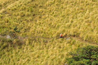 Nepal Annapurna Trekking izinde yürüyen bir genç adam.