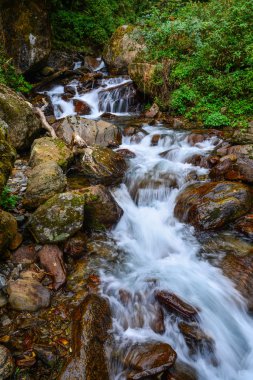 Khopra, Nepal derin orman akışı ile küçük şelale.