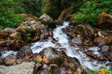Khopra, Nepal derin orman akışı ile küçük şelale.