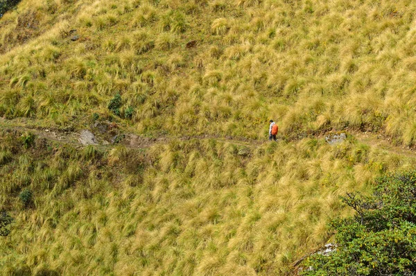 Een Jonge Man Lopen Annapurna Trekking Parcours Nepal — Stockfoto