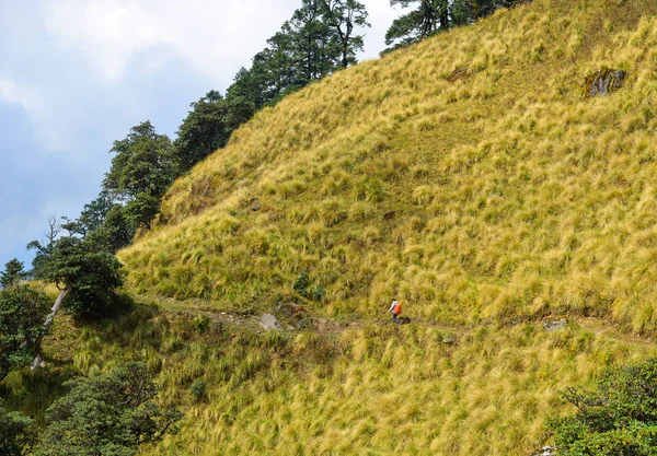 Joven Caminando Por Sendero Trekking Annapurna Nepal — Foto de Stock