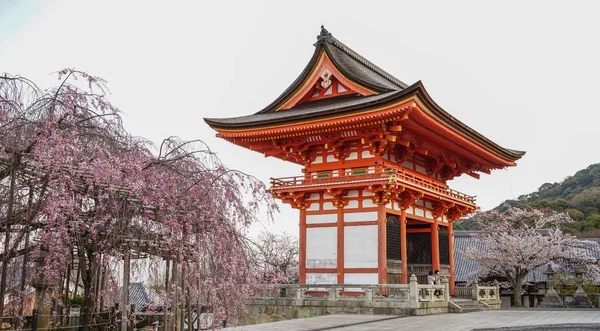 Antiguo Templo Con Flores Cerezo Primavera Kyoto Japón — Foto de Stock