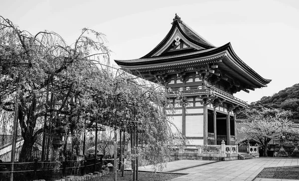 Antico Tempio Con Fiori Ciliegio Primavera Kyoto Giappone — Foto Stock