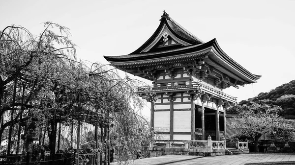 京都の春の時に桜の花の古代寺院 — ストック写真