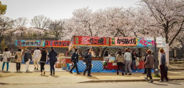 Tokyo, Japonya - 7 Nisan 2014. Ziyaretçiler Sakura Festivali sırasında Ueno Park'ta kiraz çiçeği tadını çıkarın.