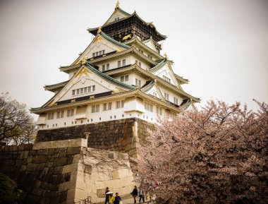 Osaka, Japonya - 7 Nisan 2014. Bahar süre kiraz çiçekleri ile görünüm Osaka Kalesi (Osakajo). Kalenin Japonya en ünlü yerlerinden biridir.