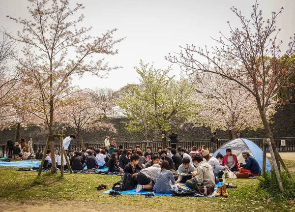 Tokio Japón Abril 2014 Los Visitantes Disfrutan Flor Cerezo Parque — Foto de Stock