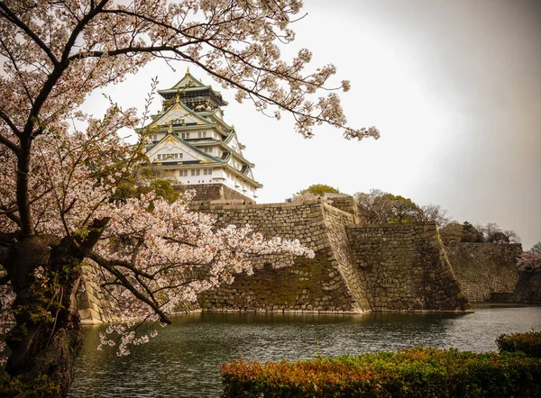 可以欣赏到大阪城 大阪町 的樱花 这座城堡是日本最著名的地标之一 — 图库照片