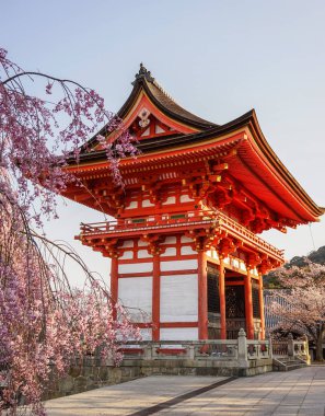 Kyoto, Japonya'nın bahar zaman kiraz çiçeği ile antik tapınak.
