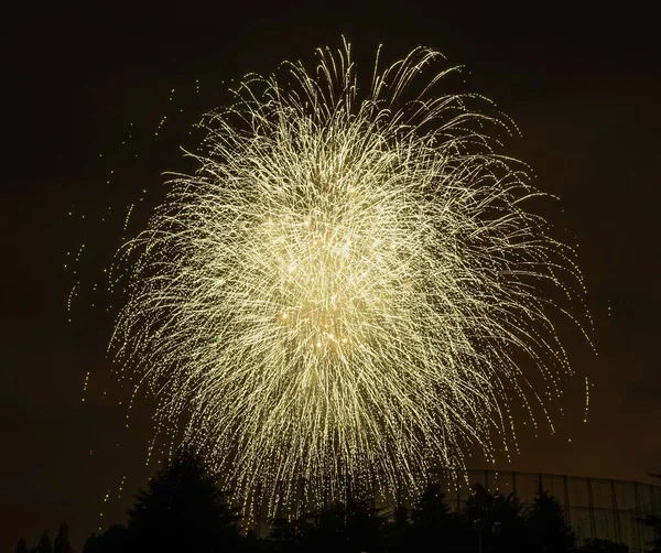 Gyönyörű Színes Tűzijáték Sötét Kyoto Japán — Stock Fotó