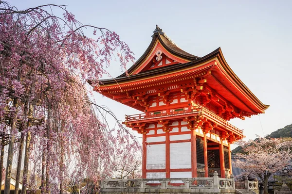 Antiguo Templo Con Flores Cerezo Primavera Kyoto Japón — Foto de Stock