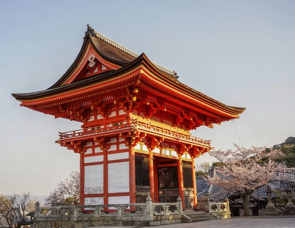 Antiguo Templo Con Flores Cerezo Primavera Kyoto Japón — Foto de Stock