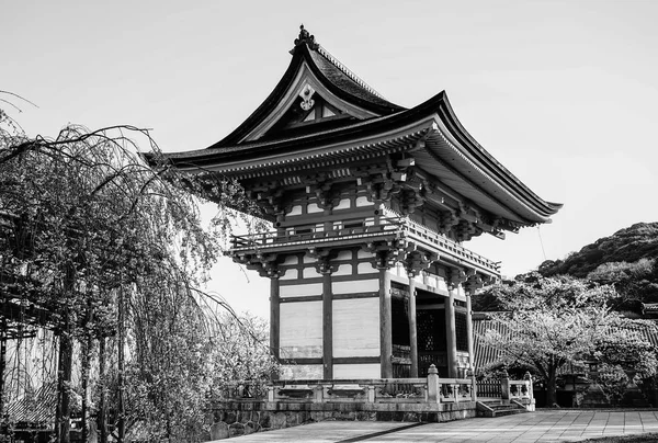 Antico Tempio Con Fiori Ciliegio Primavera Kyoto Giappone — Foto Stock