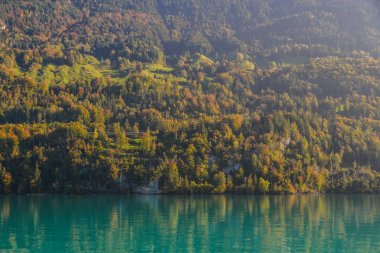 Göl Brienz, İsviçre'nin güzel sahne. Turkuaz Gölü Brienz muhteşem dağ manzarası arasında ayarlanır.