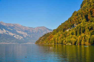 Göl Brienz, İsviçre'nin güzel sahne. Turkuaz Gölü Brienz muhteşem dağ manzarası arasında ayarlanır.
