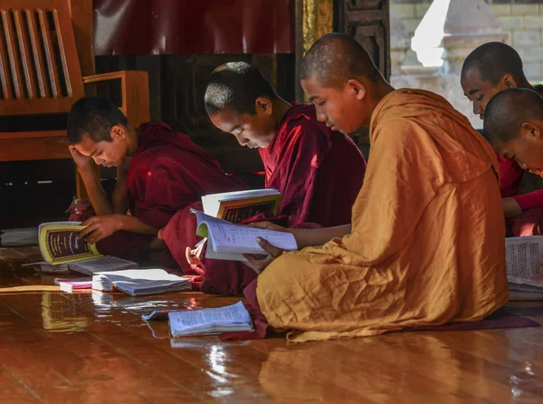 Nyaungshwe Myanmar Feb 2017 Samaneras Jóvenes Monjes Novicios Sentados Estudiando — Foto de Stock