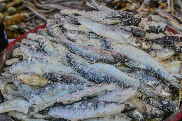 Mercado Pescado Tradicional Asiático Puesto Lleno Mariscos Secos Taunggyi Estado —  Fotos de Stock