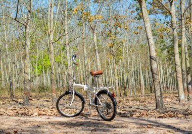 Dong Nai, Vietnam - 4 Şubat 2016. Bir bisiklet lastik orman bahar zaman güneşli bir günde, park yeri.