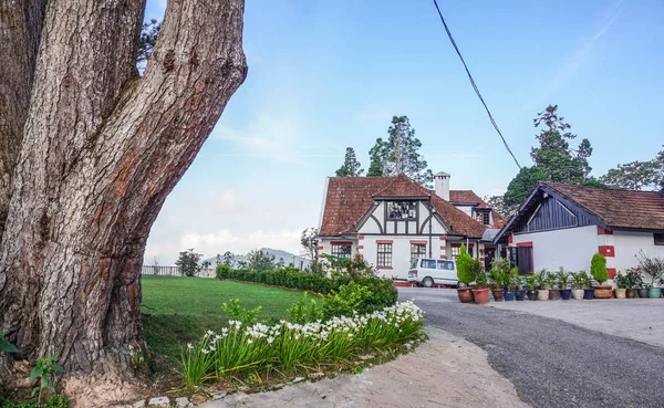 Cameron Highlands, Malezya yaz, dağda antik villalar.