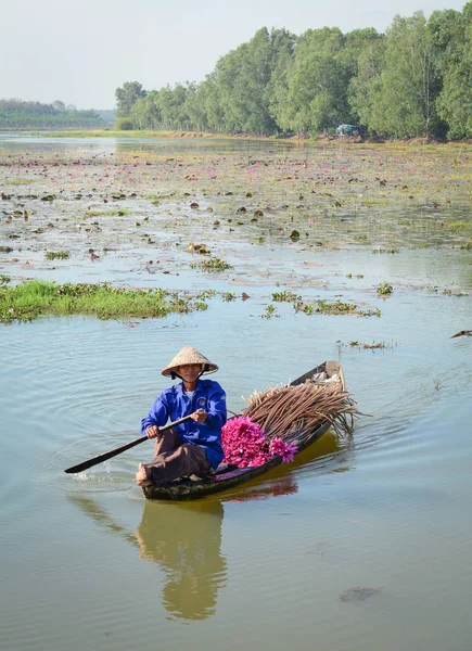 Tay Ninh Vietnam Feb 2016 Woman Conical Hat Rowing Boat — Stock Photo, Image