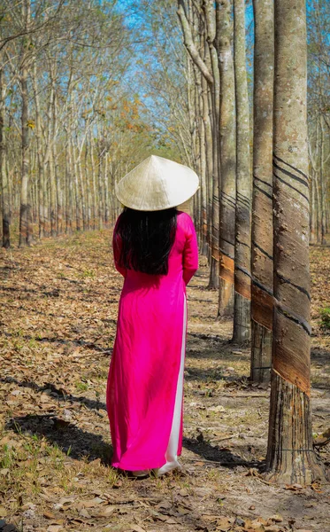 Asian Traditional Dress Dai Conical Hat Walking Rural Road Southern — Stock Photo, Image