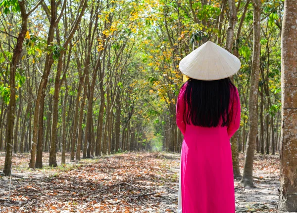 Güney Vietnam Kırsal Yolda Yürüyen Bir Asya Konik Bir Şapka — Stok fotoğraf