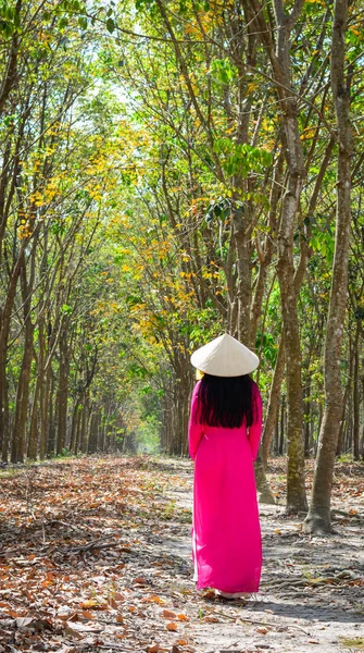 Asian Traditional Dress Dai Conical Hat Walking Rural Road Southern — Stock Photo, Image