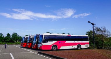 Jeju, Güney Kore - Eylül 20, 2016. Turist otobüsleri otopark Jeju Adası, Güney Kore. Jeju Adası Asya'nın en sevilen seyahat hedefleri biridir.