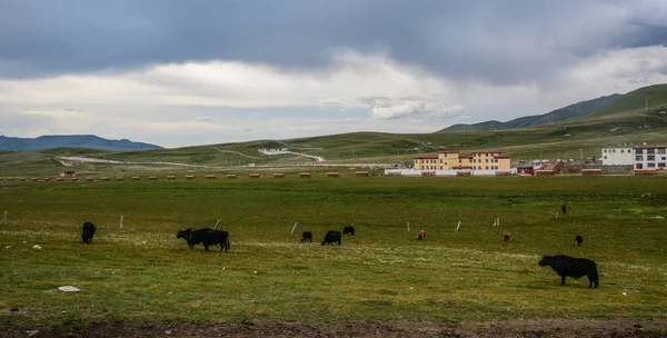 Paisaje Montaña Garze Prefectura Autónoma Tibetana Sichuan China —  Fotos de Stock