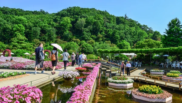 Πάρκο Λουλουδιών Άνοιξη Στιγμή Στο Ashikaga Ιαπωνία — Φωτογραφία Αρχείου