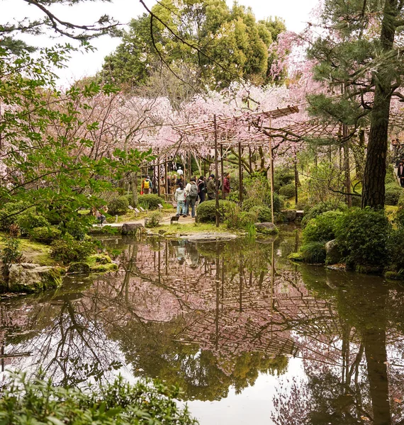 Kirschblüte im Garten in Kyoto, Japan — Stockfoto