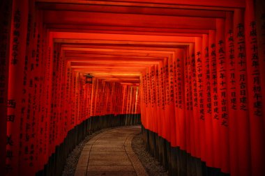 Fushimi Inari Taisha Kyoto, Japonya 'da 