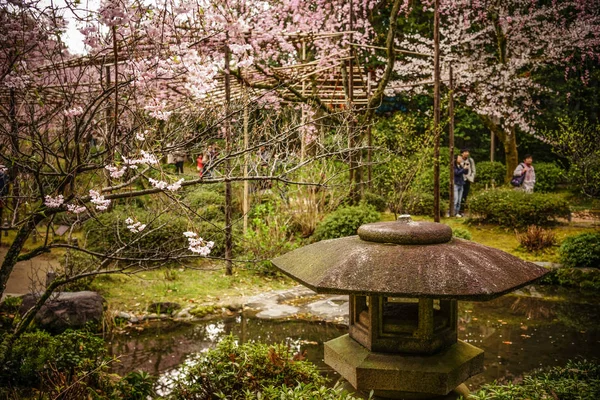 Kwiat w ogrodzie w Kioto, Japonia — Zdjęcie stockowe