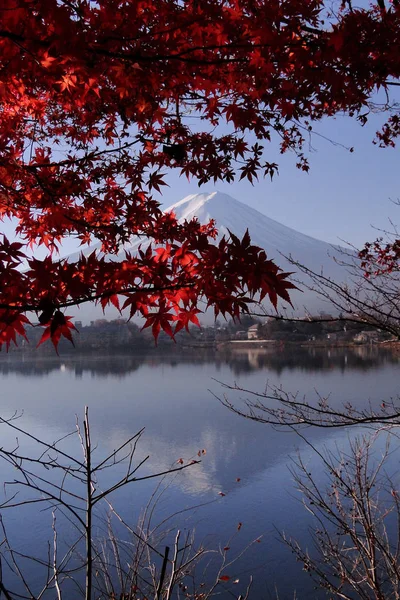 Mount Fuji (japanische Ikone) im Herbst — Stockfoto