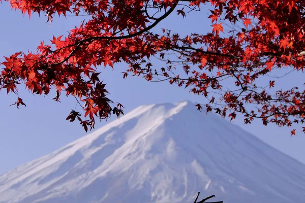 Monte Fuji (icona giapponese) in autunno — Foto Stock