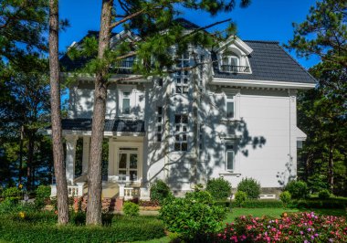 Birçok çam ağaçları ile lüks villa 