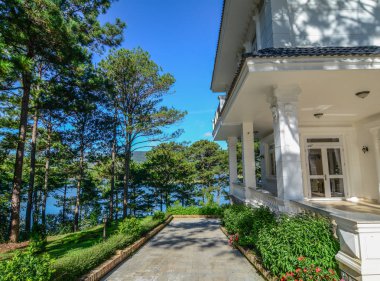 Birçok çam ağaçları ile lüks villa 