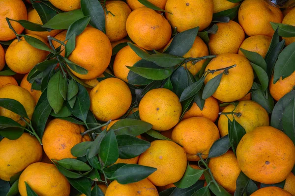 Zralé a chutné mandarinky (mandarinka) — Stock fotografie