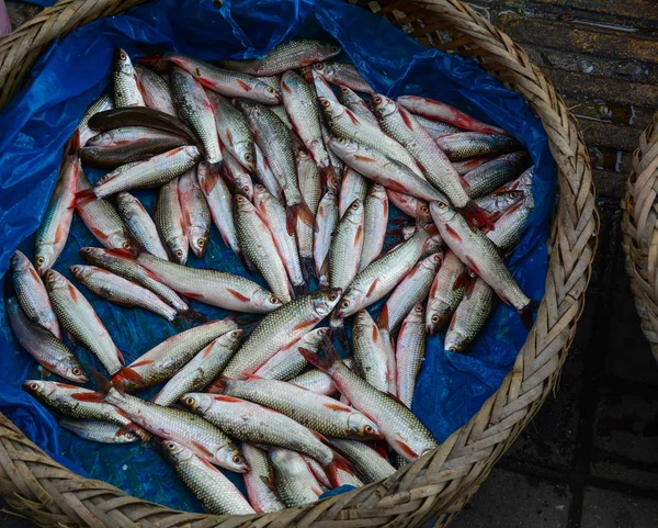 Pescado fresco en venta en el mercado rural — Foto de Stock