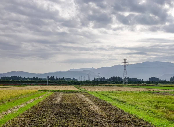 Belo campo de arroz em Akita, Japão — Fotografia de Stock