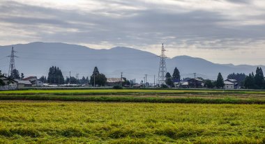 Güzel pirinç alan: Akita, Japan 