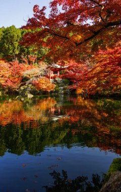 Kyoto, Japonya sonbahar sahne 