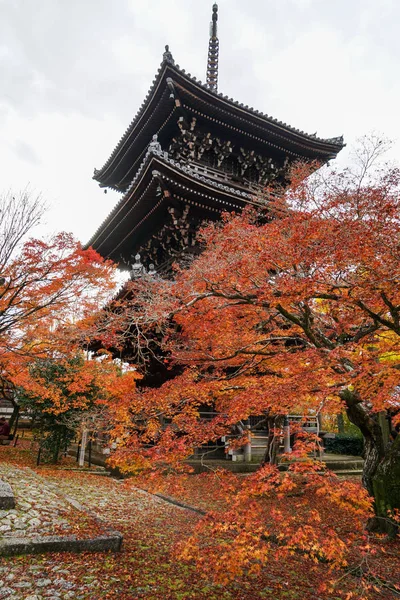 秋天树的神社 — 图库照片