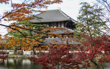 Todaiji Tapınağı sonbaharda nara, Japonya