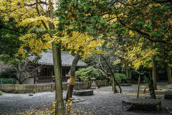 Jesienne dekoracje Kioto, Japonia — Zdjęcie stockowe