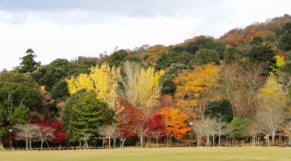 Podzimní krajina Kjóto, Japonsko — Stock fotografie
